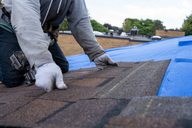 Best Storm Damage Roof Repair  in Penitas, TX