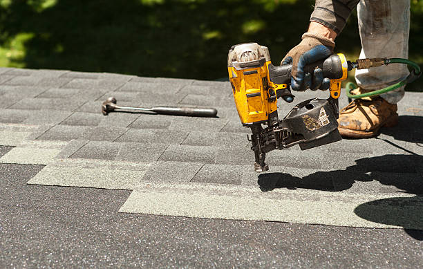 Professional Roofing Contractor in Penitas, TX